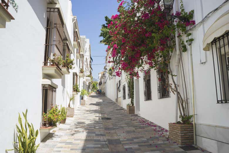 Excursión a Marbella y Mijas