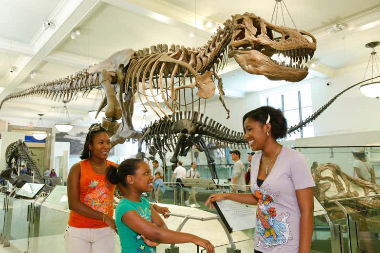 Go City: New York Explorer Pass