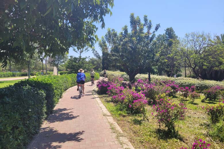 Free tour por Valencia en bicicleta