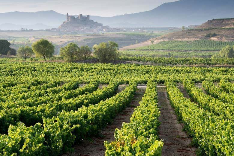 Excursión a Vitoria y la Rioja Alavesa