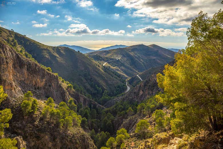 Excursión a Canillas de Aceituno y El Saltillo