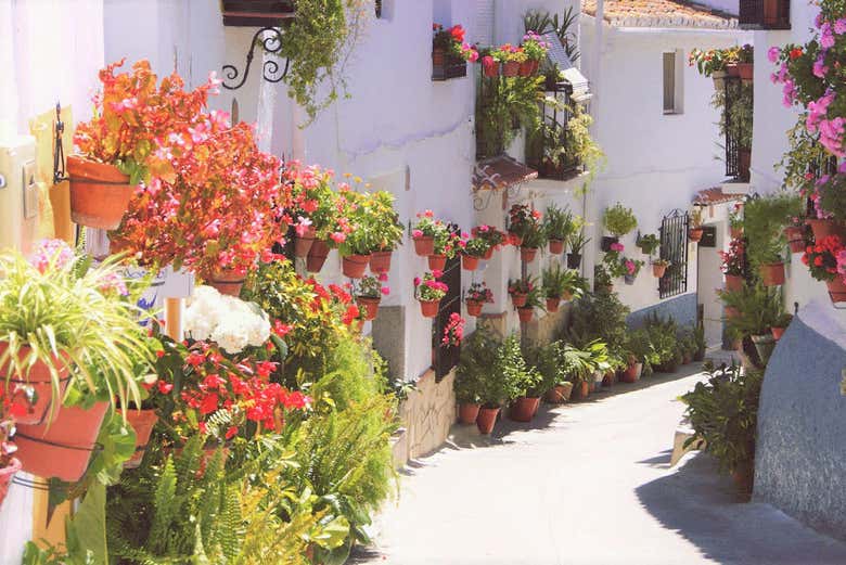 Excursión a Canillas de Aceituno y El Saltillo