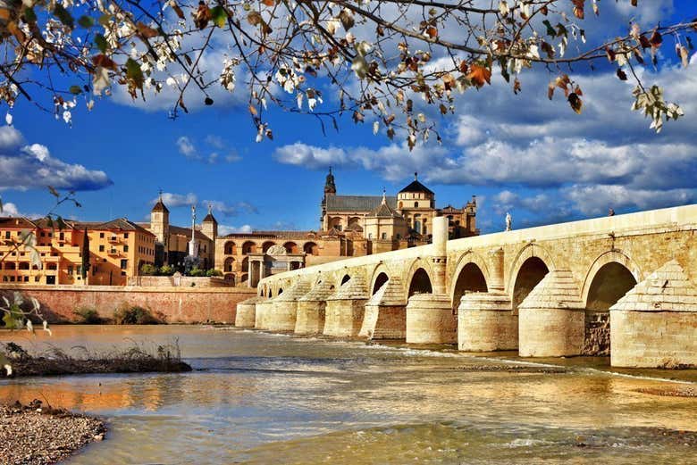 Excursión a Córdoba por libre