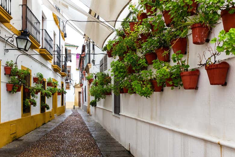 Excursión a Córdoba por libre