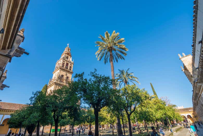 Excursión a Córdoba por libre