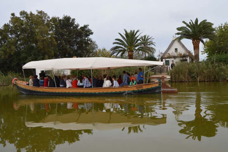 Autobús turístico de la Albufera + Paseo en barca