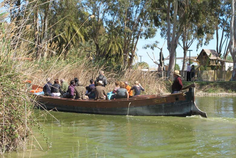 Autobús turístico de la Albufera + Paseo en barca