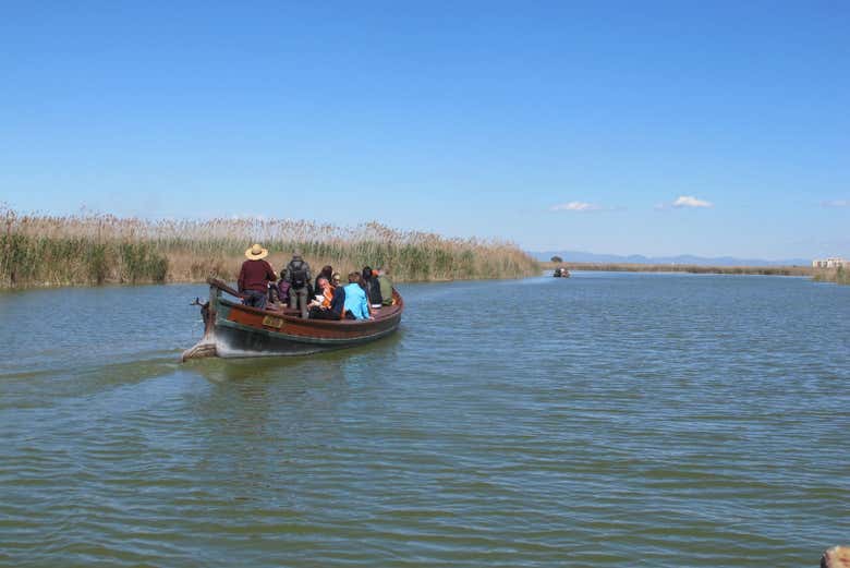 Autobús turístico de la Albufera + Paseo en barca