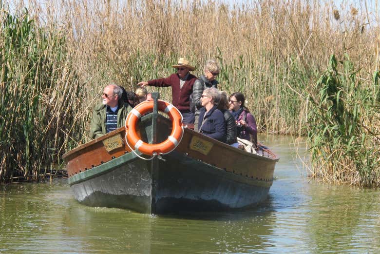 Autobús turístico de la Albufera + Paseo en barca