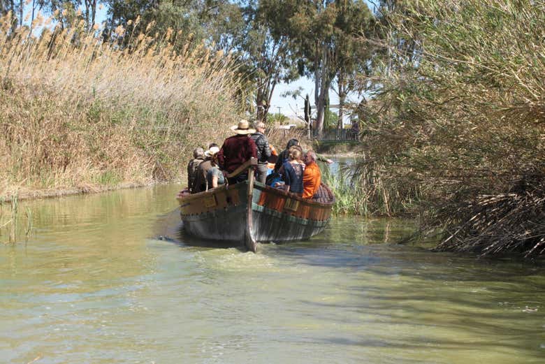 Autobús turístico de la Albufera + Paseo en barca