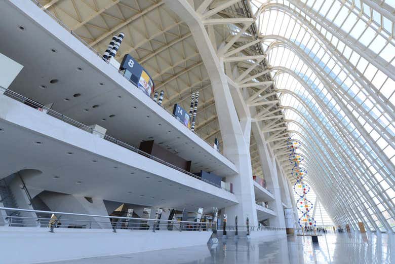 Entrada al Museo de las Ciencias Príncipe Felipe