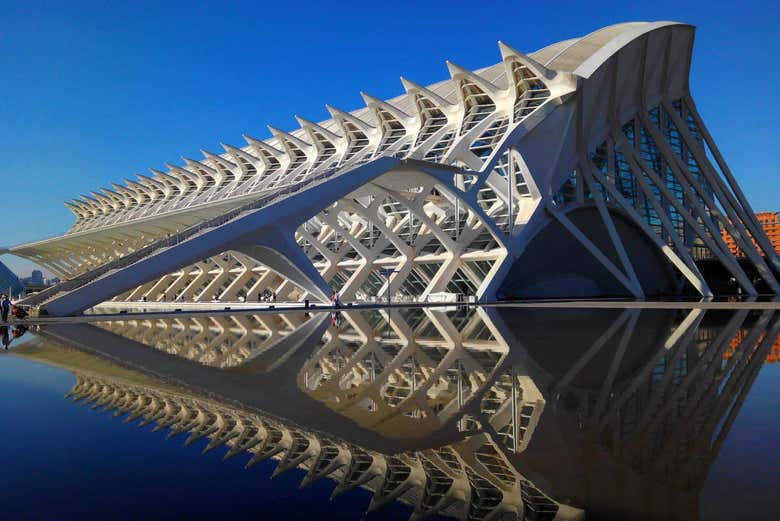 Entrada al Museo de las Ciencias Príncipe Felipe