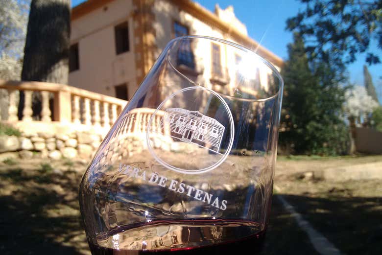 Excursión a las bodegas de Requena