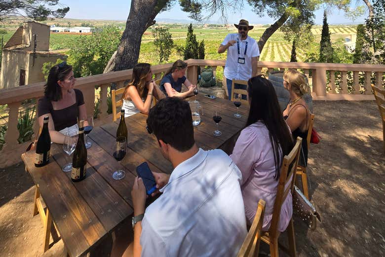 Excursión a las bodegas de Requena