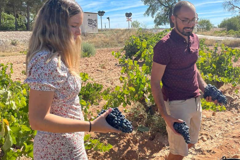 Excursión a las bodegas de Requena