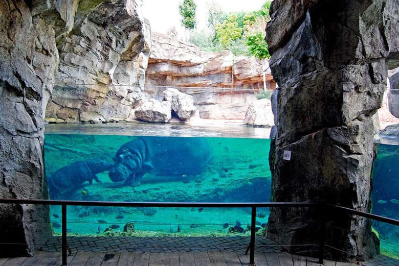 Entrada a Bioparc Valencia