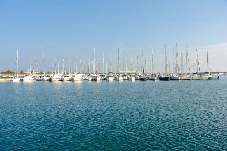 Paseo en catamarán por Valencia