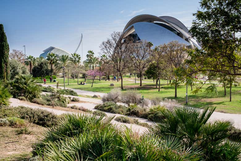 Free tour por la Ciudad de las Artes y las Ciencias