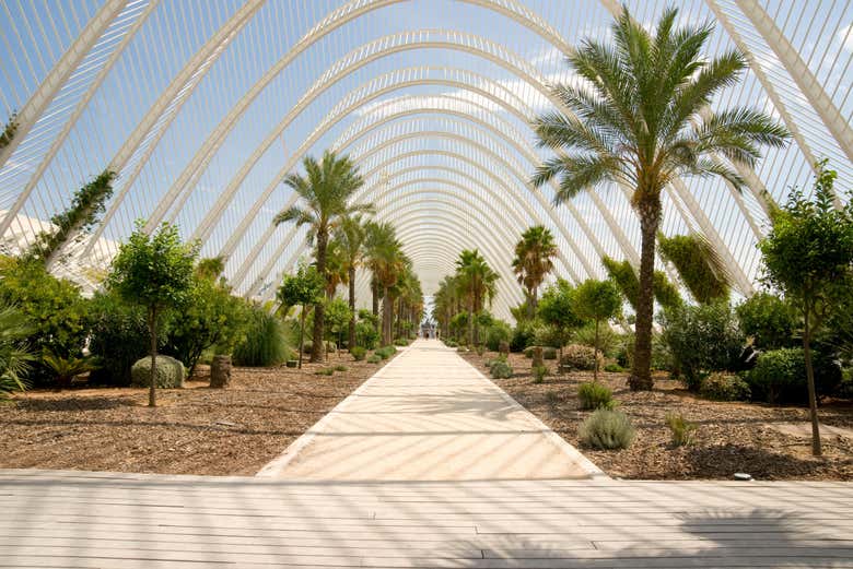 Entrada a la Ciudad de las Artes y las Ciencias