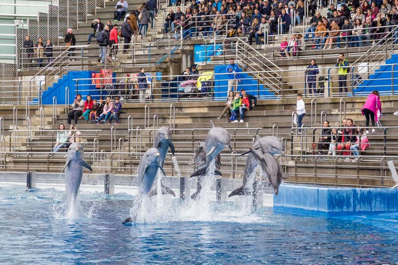 Entrada al Oceanogràfic
