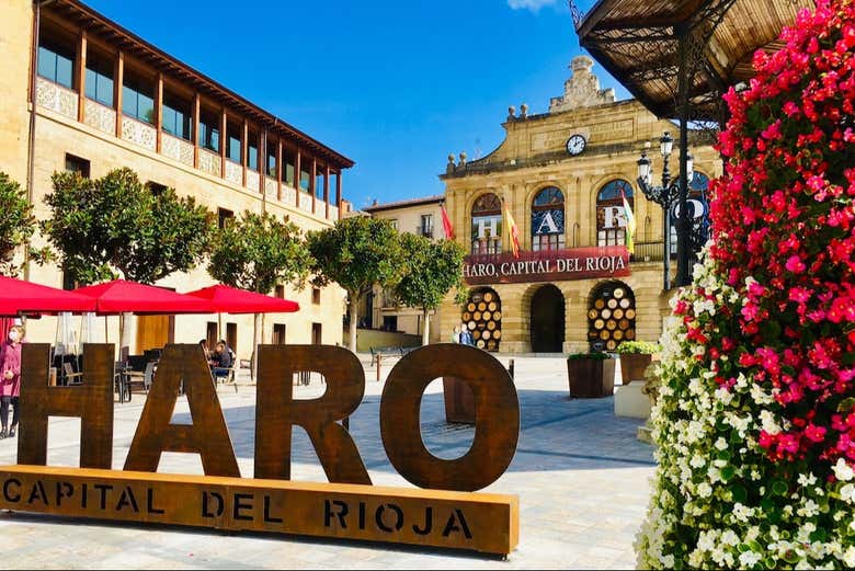 Excursión a Laguardia y Haro con visita a dos bodegas