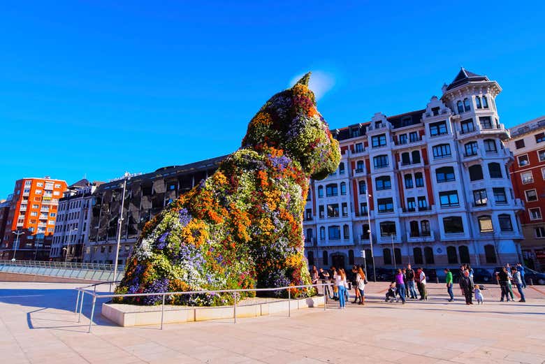 Visita guiada por el Museo Guggenheim Bilbao