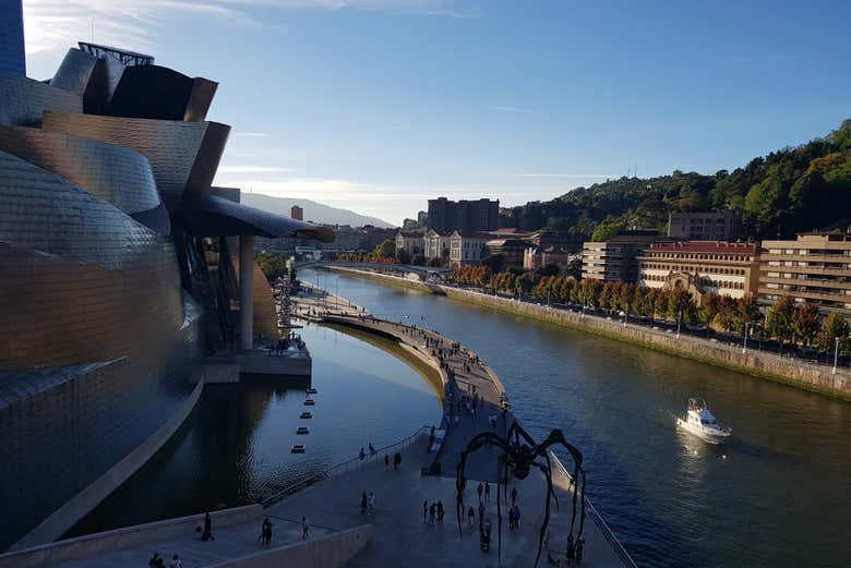 Visita guiada por el Museo Guggenheim Bilbao