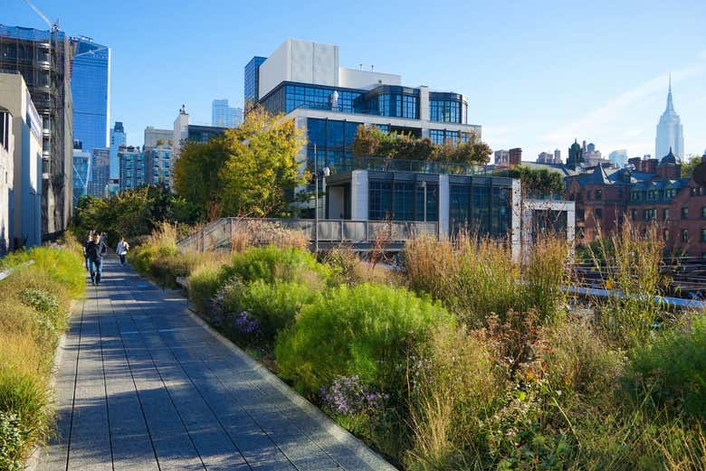 Tour por High Line y Hudson Yards