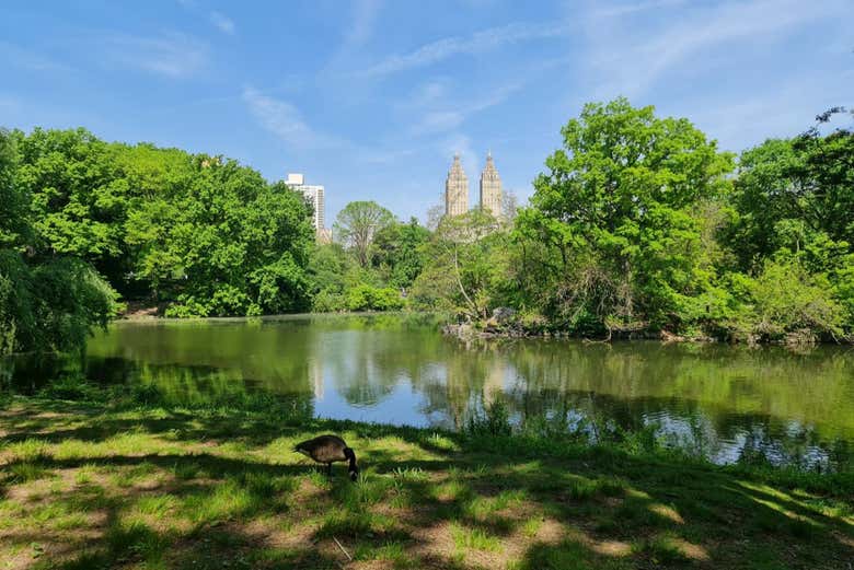 Entrada al Zoo de Central Park