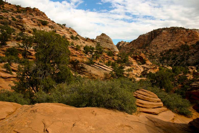 Excursión al cañón de Zion + Valle del Fuego