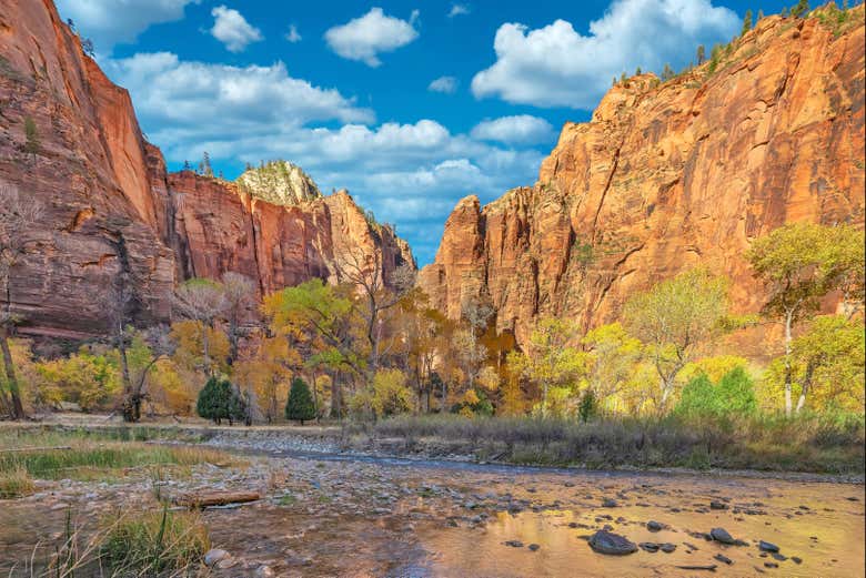 Excursión al cañón de Zion + Valle del Fuego