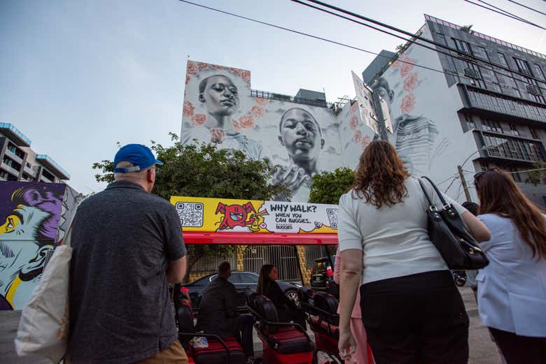 Tour por Wynwood