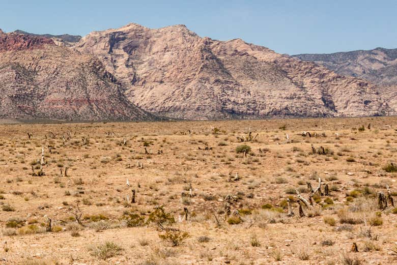 Conducción de un monster truck en el desierto de Las Vegas