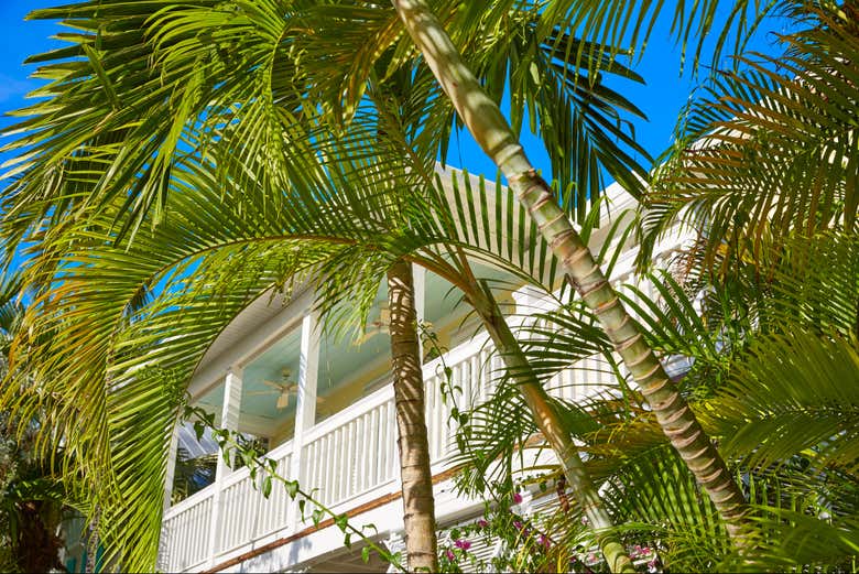 Excursión privada a Cayo Hueso