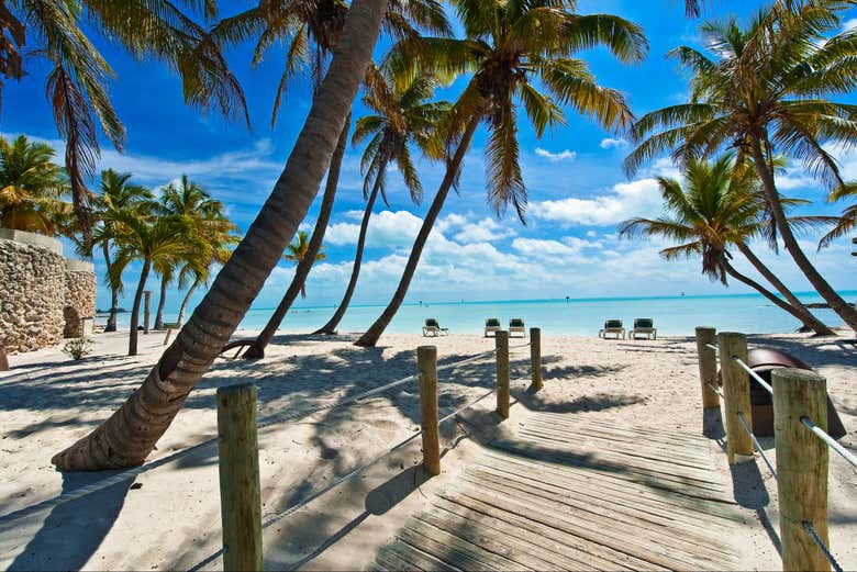 Excursión privada a Cayo Hueso