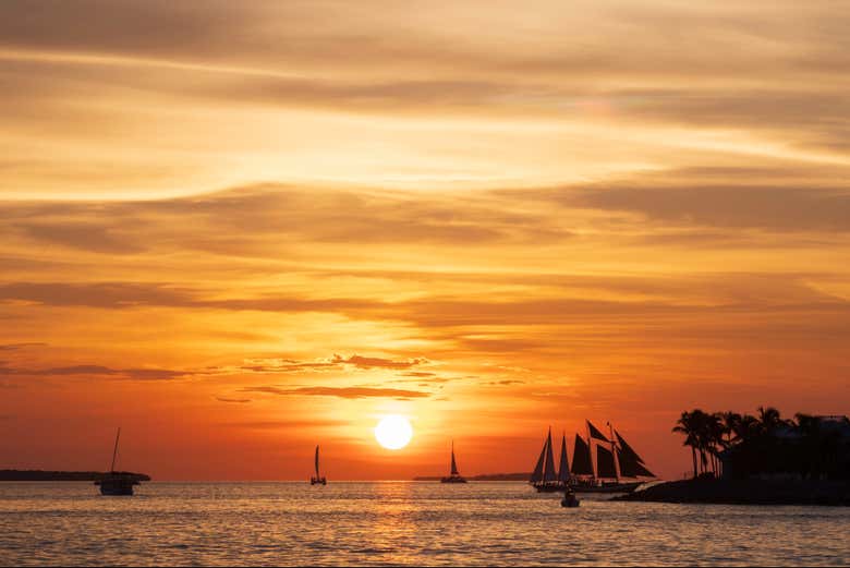 Excursión privada a Cayo Hueso