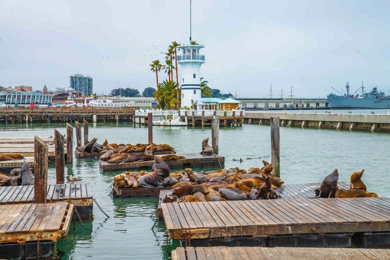 Paseo en catamarán por la bahía de San Francisco