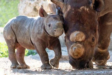 Entrada al Zoo de Miami