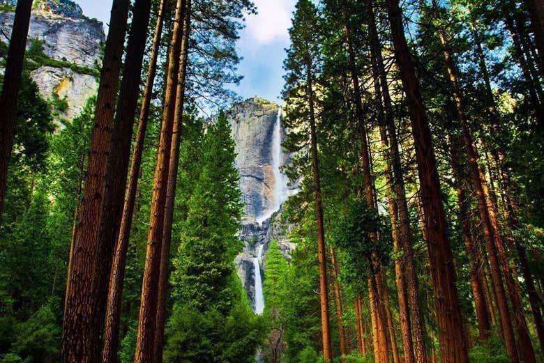 Excursión a Yosemite
