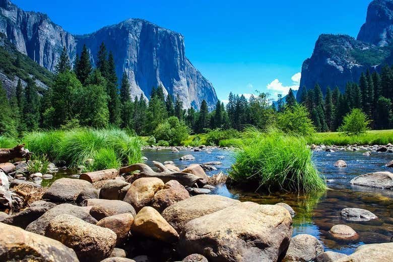 Excursión a Yosemite