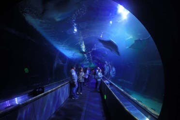 Entrada al Aquarium of the Bay