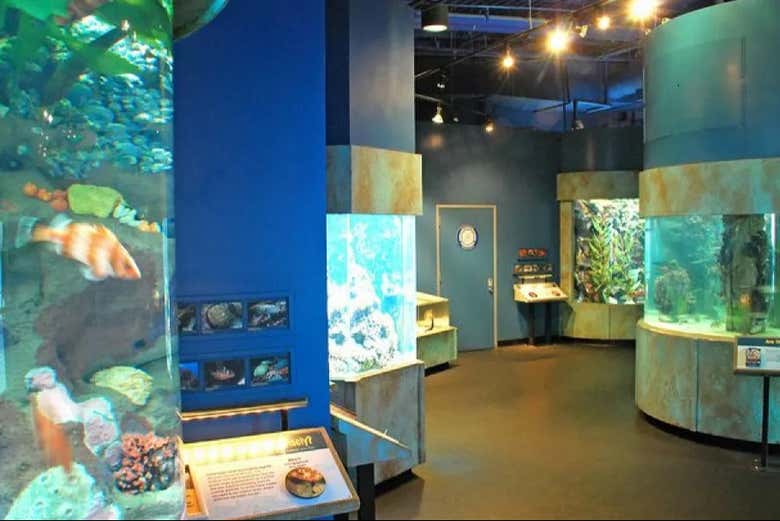 Entrada al Aquarium of the Bay