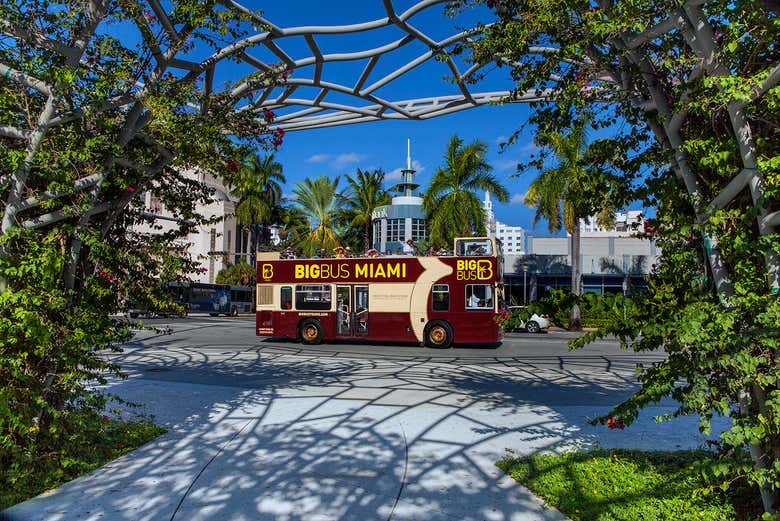 Autobús turístico de Miami