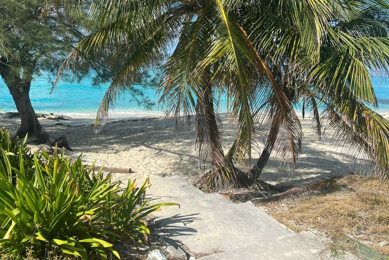 Excursión por libre a las islas Bahamas