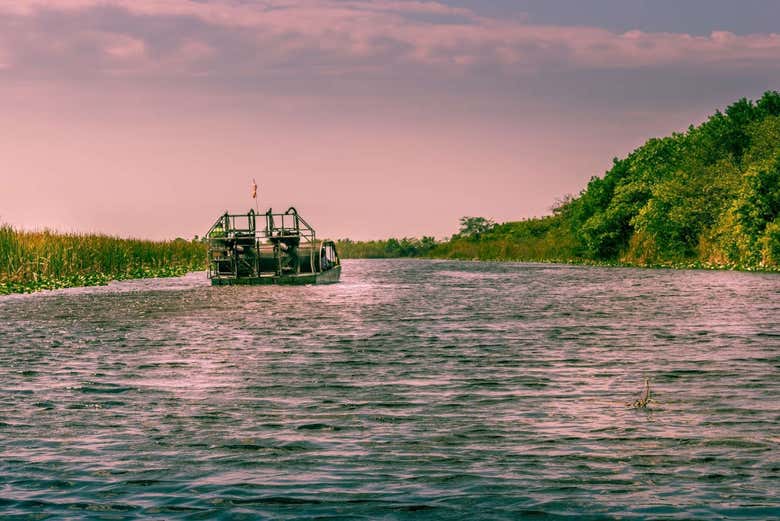 Excursión a los Everglades