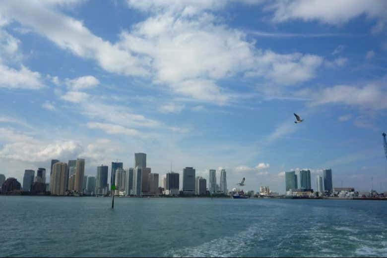 Excursión a los Everglades + Paseo en barco por Las Casas de los Famosos