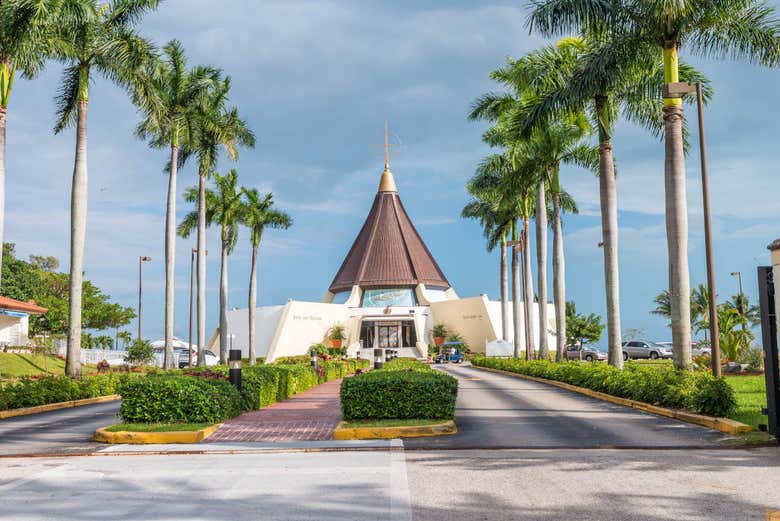 Tour por Miami para cruceros