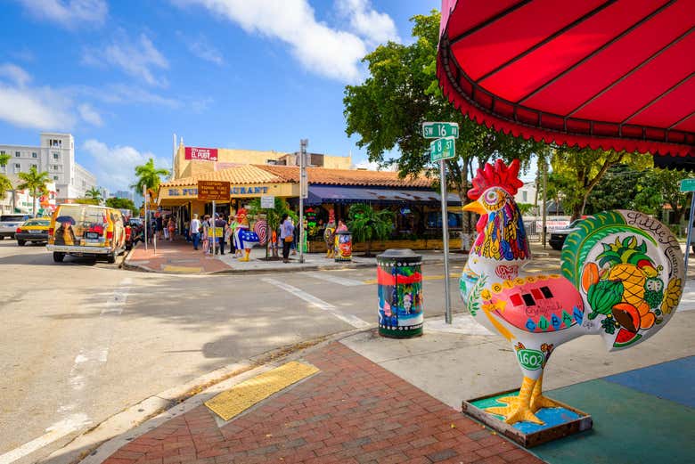 Tour por Miami para cruceros