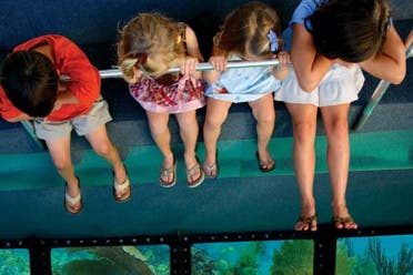 Excursin a Cayo Largo