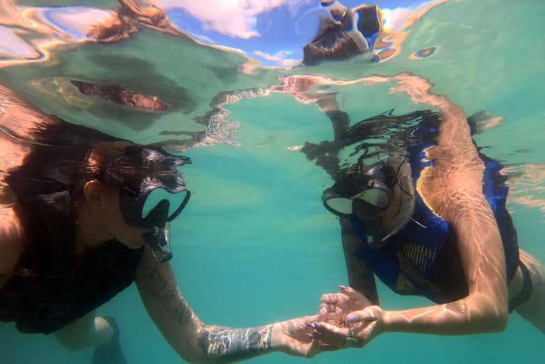 Snorkel en la playa del Escambrón